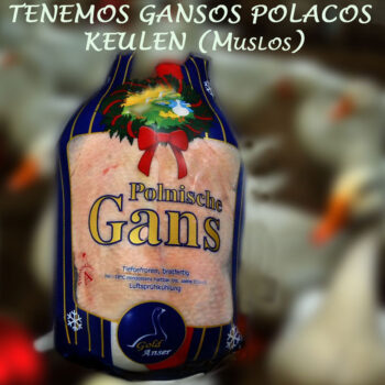 Gansos polacos